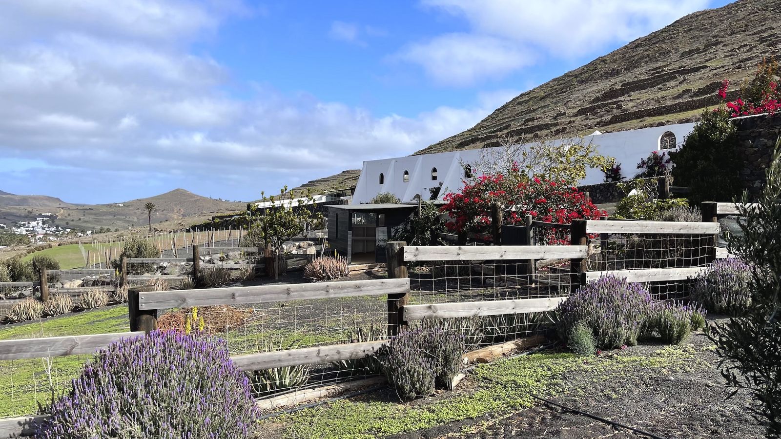 Photo 33 — Finca El Pedregal — off-grid country estate