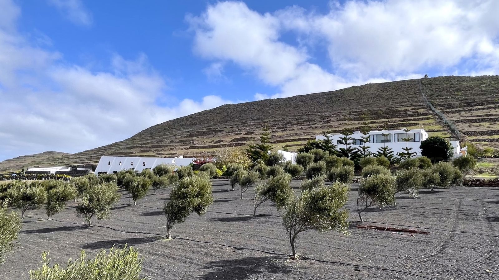 Photo 35 — Finca El Pedregal — off-grid country estate