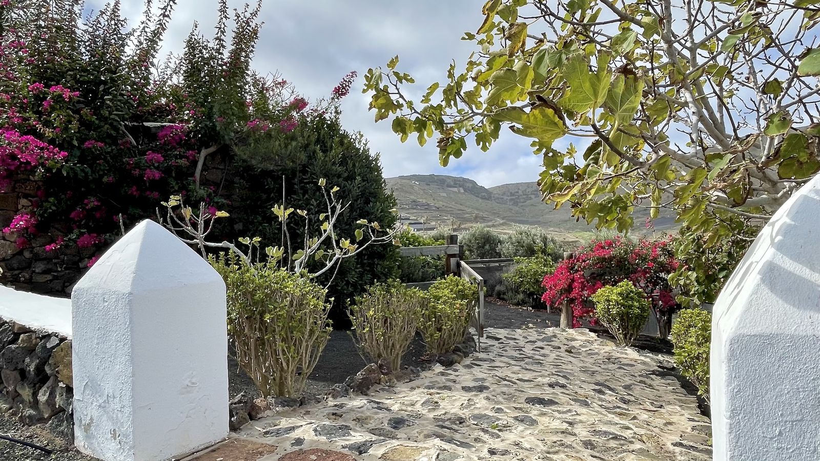 Photo 36 — Finca El Pedregal — off-grid country estate